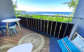 Le Petrel Bleu - Appartement Sur La Plage Des Tortues A Saint-Leu