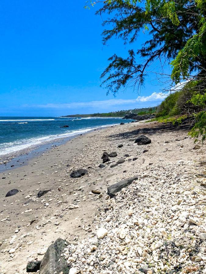 Le Petrel Bleu - Appartement Sur La Plage Des Tortues A Saint-Leu Extérieur photo