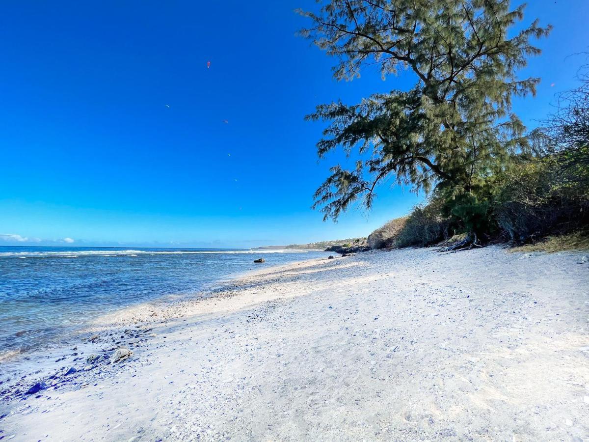 Le Petrel Bleu - Appartement Sur La Plage Des Tortues A Saint-Leu Extérieur photo